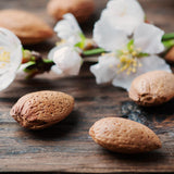 Amande douce nourrissante, assouplissante et fortifiante pour la fibre capillaire utilisée dans les soins certifiés COSMOS NATURAL et ORGANIC par Ecocert – KALYAË ORIGIN