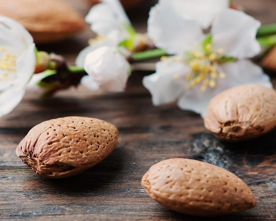 Amande douce nourrissante, assouplissante et fortifiante pour la fibre capillaire utilisée dans les soins certifiés COSMOS NATURAL et ORGANIC par Ecocert – KALYAË ORIGIN