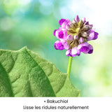 Bakuchiol utilisé dans les soins KALYAË ORIGIN, reconnu pour lisser les ridules et améliorer l’aspect de la peau naturellement.