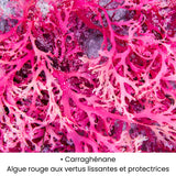 Carraghénane, algue rouge utilisée dans les soins KALYAË ORIGIN, reconnue pour ses vertus lissantes et protectrices