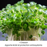 Cresson utilisé dans les soins KALYAË ORIGIN, reconnu pour apporter éclat et protection antioxydante à la peau.