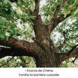 Écorce de Chêne utilisée dans les soins KALYAË ORIGIN, reconnue pour fortifier et protéger la barrière cutanée.