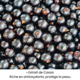 Extrait de Cassis utilisé dans les soins KALYAË ORIGIN, riche en antioxydants naturels et reconnu pour protéger la peau.