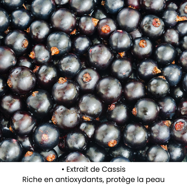 Extrait de Cassis utilisé dans les soins KALYAË ORIGIN, riche en antioxydants naturels et reconnu pour protéger la peau.