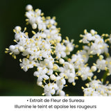 Extrait de Fleur de Sureau utilisé dans les soins KALYAË ORIGIN, reconnu pour illuminer le teint et apaiser les rougeurs.