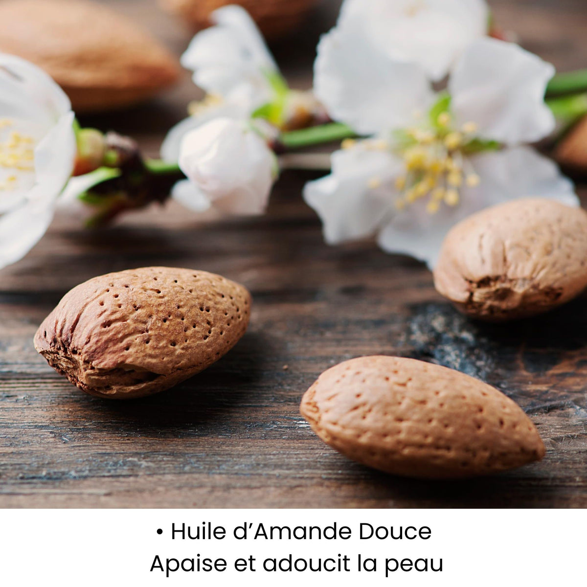 Huile d’amande douce utilisée dans les soins KALYAË ORIGIN, reconnue pour apaiser et adoucir la peau.