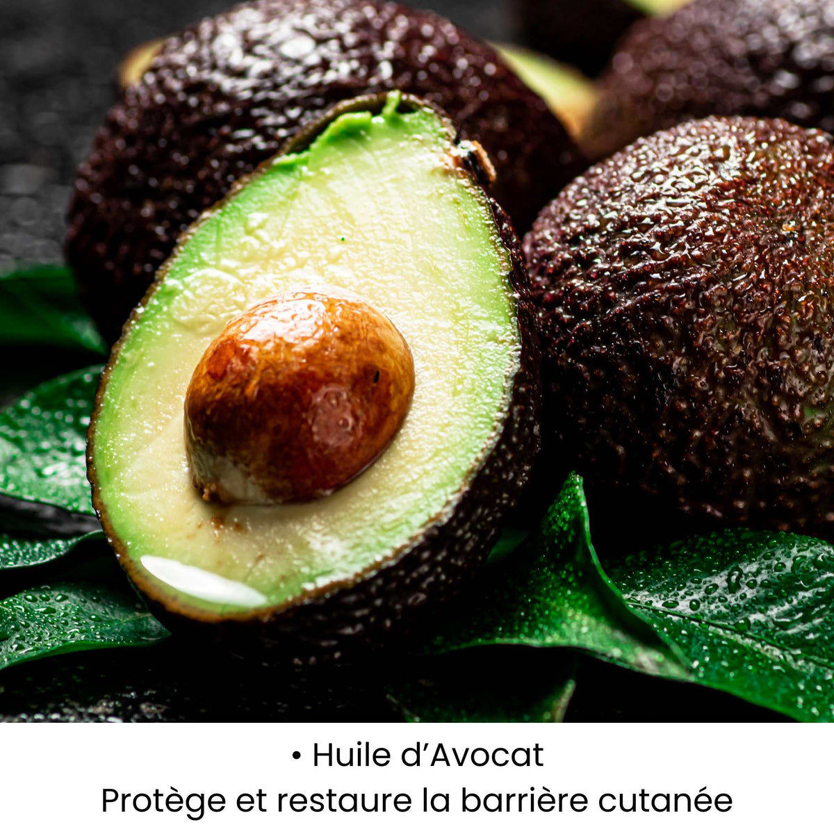 Huile d'avocat utilisée dans les soins KALYAË ORIGIN, reconnu pour protéger et restaurer la barrière cutanée.