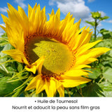 Huile de Tournesol utilisée dans les soins KALYAË ORIGIN, reconnue pour nourrir et adoucir la peau sans laisser de film gras.