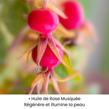 Huile de rose musquée utilisée dans les soins KALYAË ORIGIN, reconnue pour ses propriétés régénérantes et illuminatrices sur la peau.